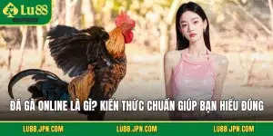 Đá Gà Online Là Gì? Kiến Thức Chuẩn Giúp Bạn Hiểu Đúng