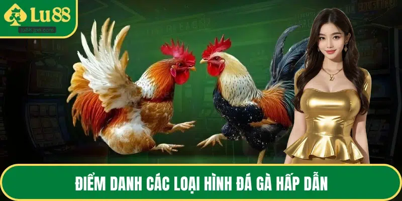 Điểm danh các loại hình đá gà hấp dẫn