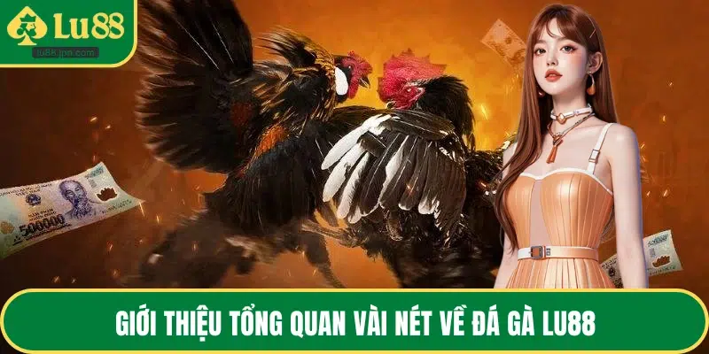 Giới thiệu tổng quan vài nét về đá gà LU88