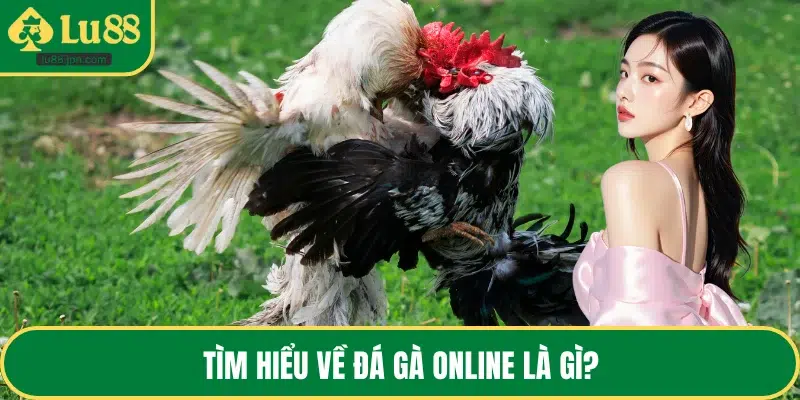 Tìm hiểu về đá gà online là gì?